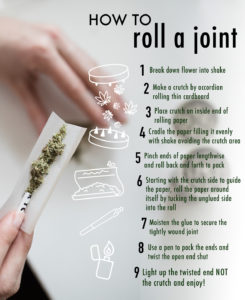 How To Roll A Joint Infographic Design by The Cannabiz Agency