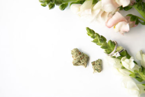 Shop The Cannabis Wedding Collection - The Cannabiz Agency Images