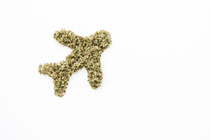 Shop The Marijuana Shapes and Symbols Collection - Weed Airplane Travel - The Cannabiz Agency Images